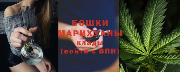 дживик Верея
