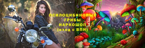 соль ск Бронницы