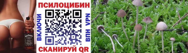 МЕГА зеркало  Дальнегорск  Галлюциногенные грибы MAGIC MUSHROOMS 